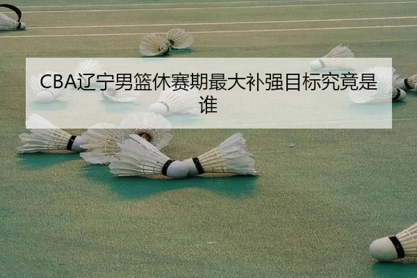 CBA辽宁男篮休赛期最大补强目标究竟是谁